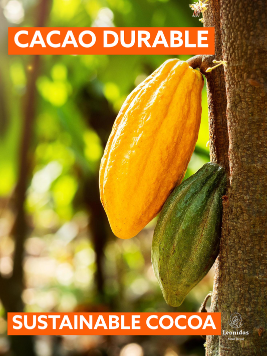 Chocolats Leonidas est maintenant 100% Cacao Durable et Equitable!